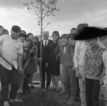 Bridgeview Public School Tree Planting